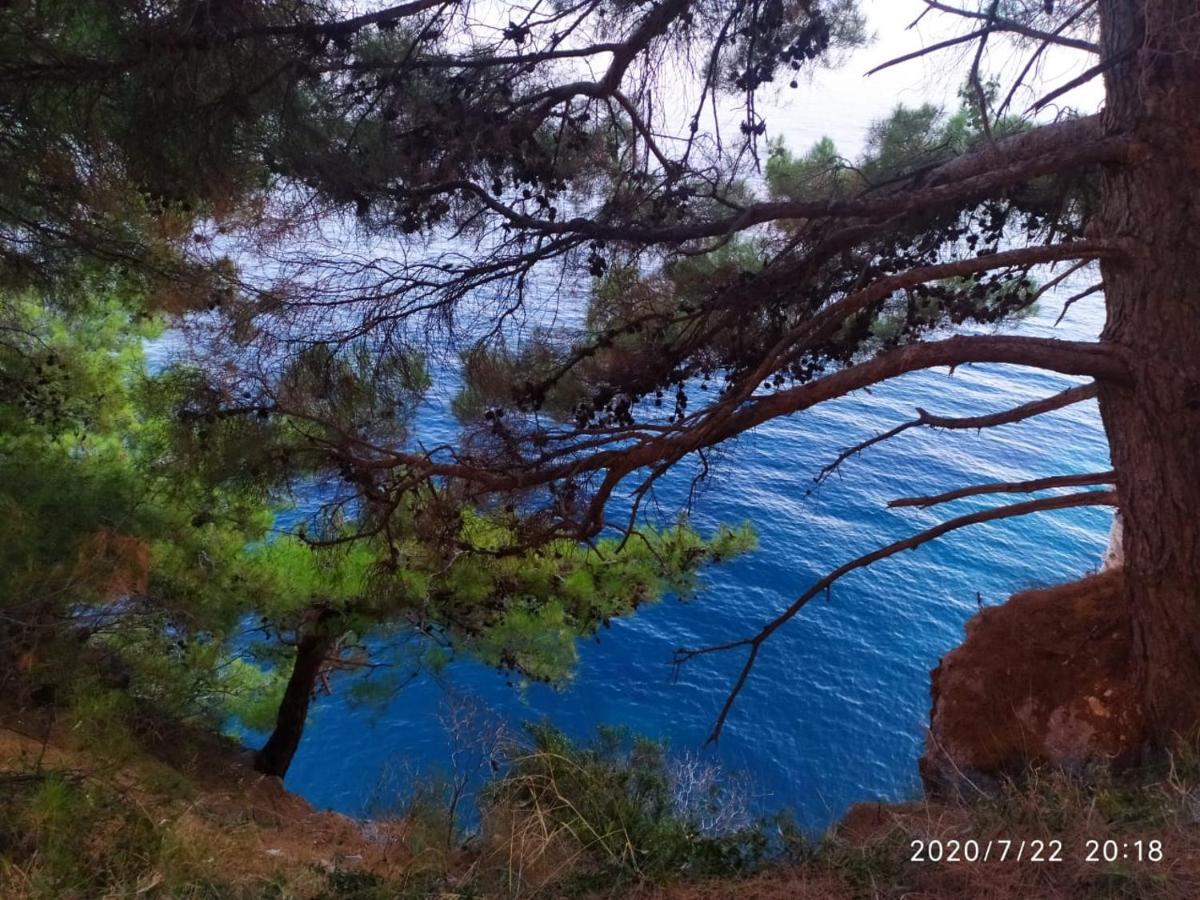 Apartamenti Enjoy Petrovac Exterior foto